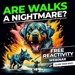 STOP USING TREATS to distract your reactive dog all the time. 

